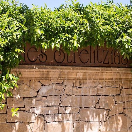 ז'ואן-לה-פינס The Originals Residence, Les Strelitzias מראה חיצוני תמונה